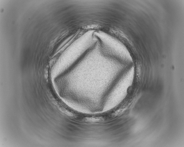 X0000070390545200607072222