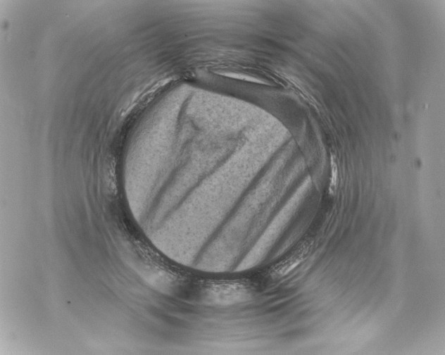 X0000070390547200607072222