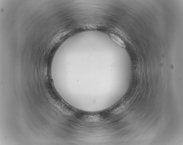 X0000070390548200607072222