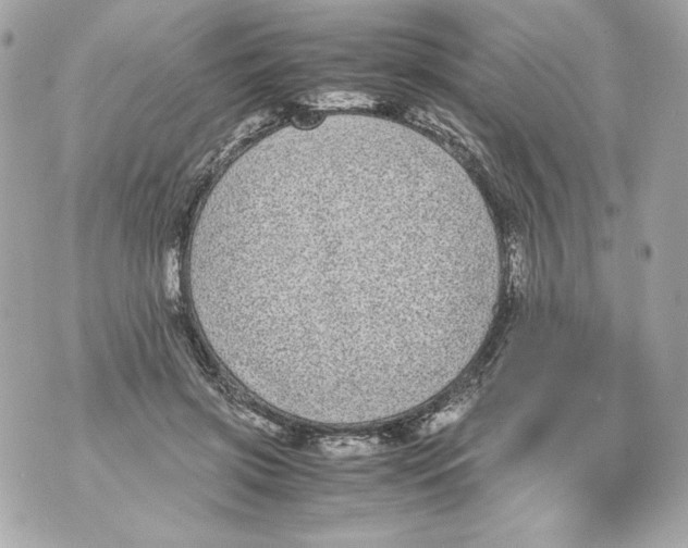 X0000070390549200607072222