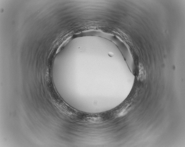 X0000070390552200607072222