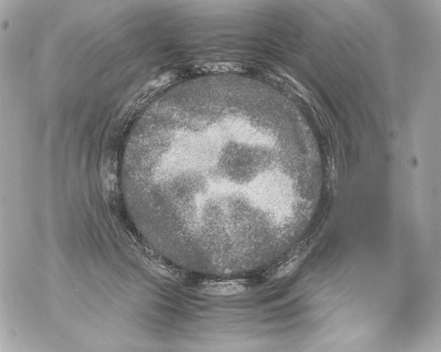 X0000070390553200607072222