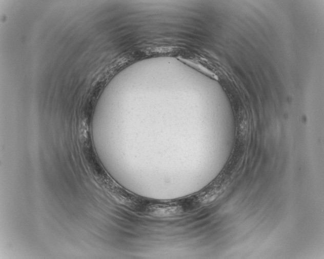 X0000070390555200607072222