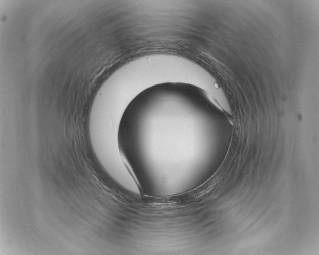 X0000070390556200607072222