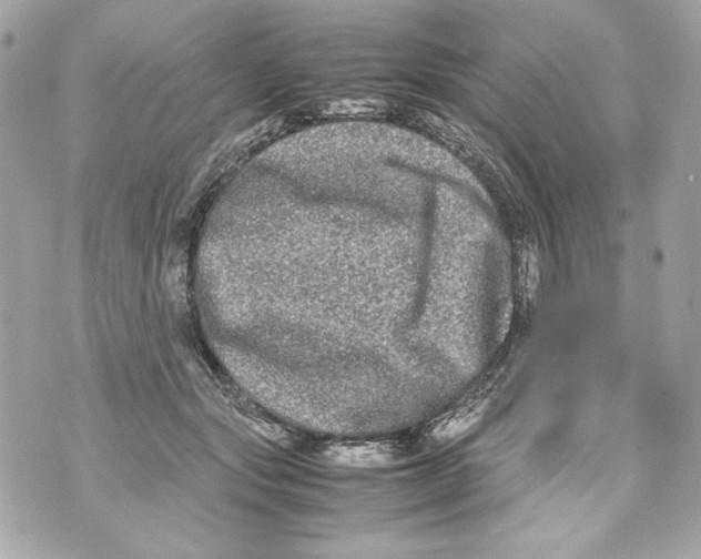 X0000070390557200607072222