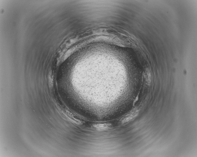 X0000070390558200607072222