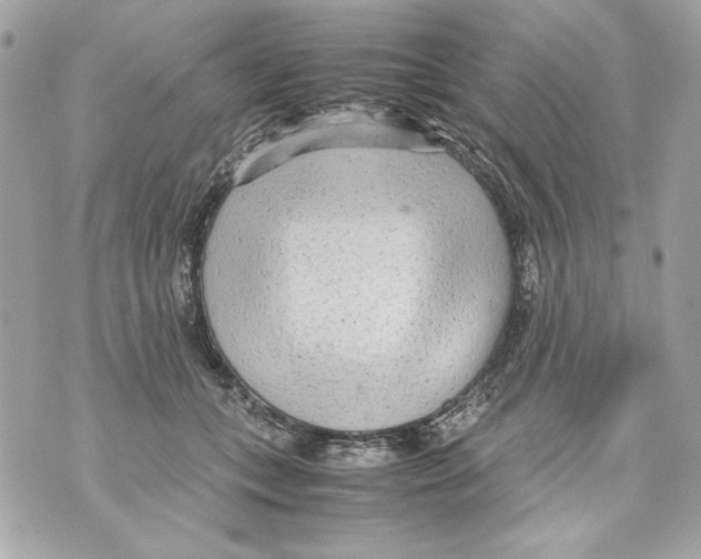 X0000070390559200607072222