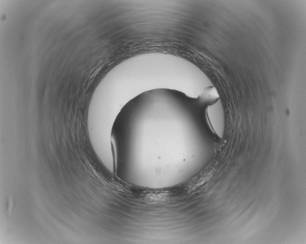 X0000070390560200607072222