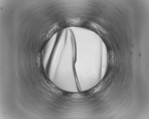 X0000070390562200607072222