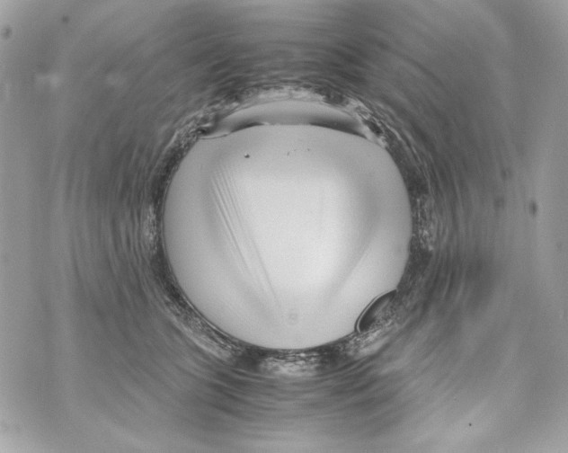 X0000070390563200607072222