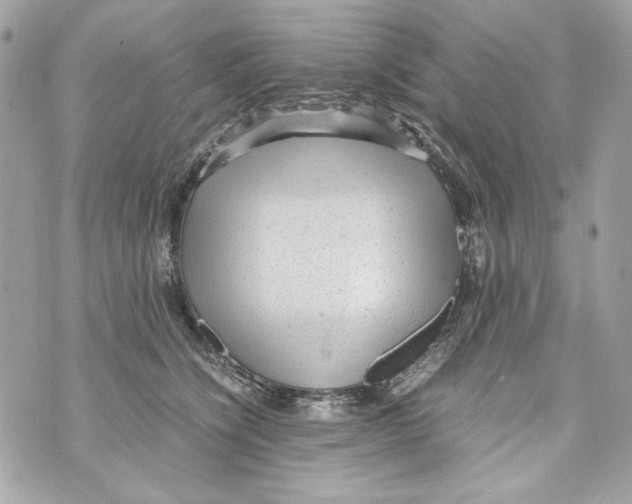 X0000070390564200607072222