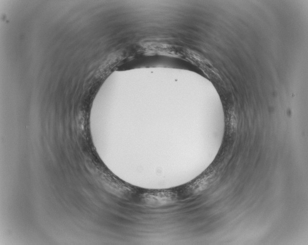 X0000070390567200607072222