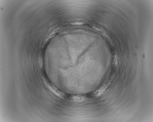 X0000070390568200607072222