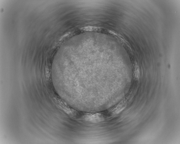 X0000070390569200607072222