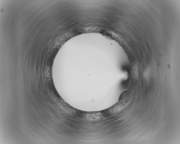 X0000070390571200607072222