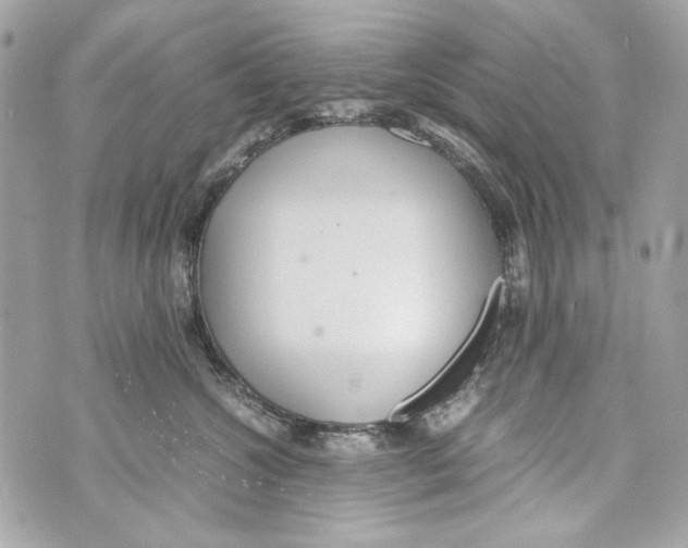 X0000070390572200607072222