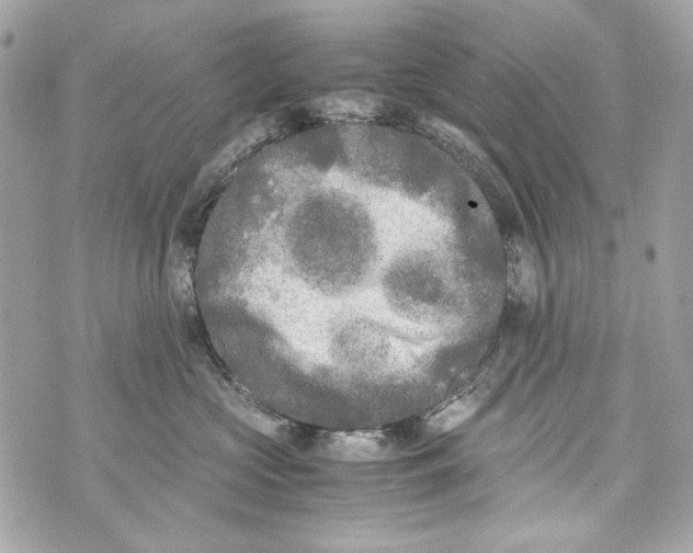 X0000070390573200607072222