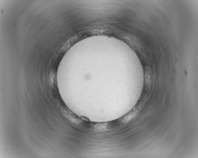 X0000070390574200607072222