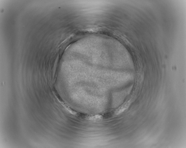 X0000070390576200607072222