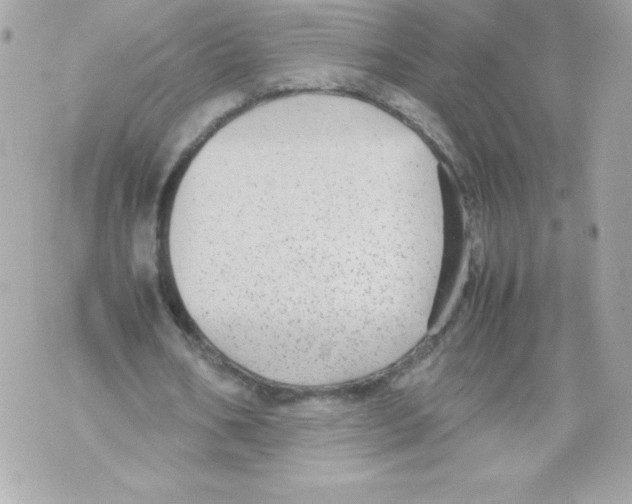 X0000070390578200607072221