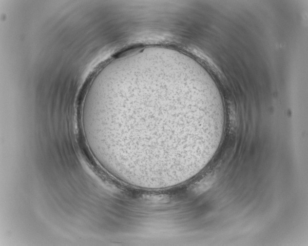 X0000070390582200607072221