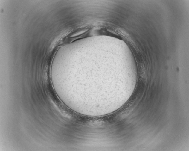 X0000070390586200607072221