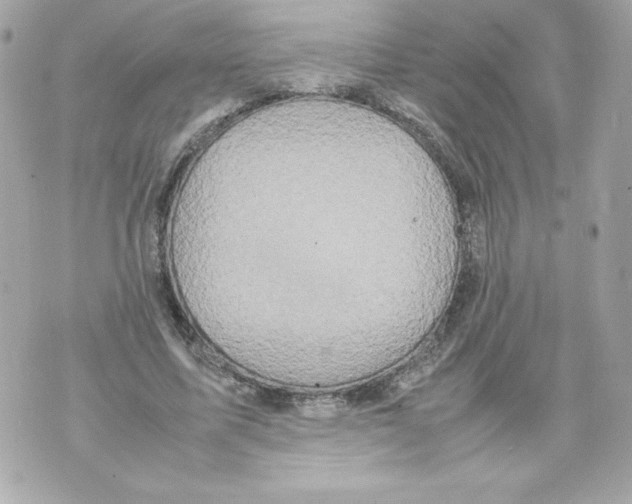 X0000070390587200607072221