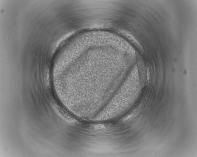 X0000070390588200607072221