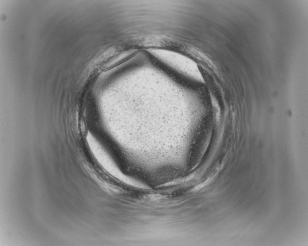 X0000070390589200607072221