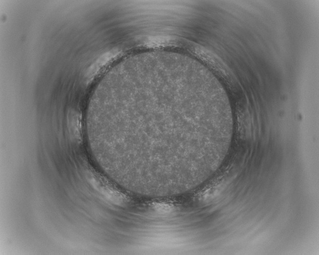 X0000070390592200607072221