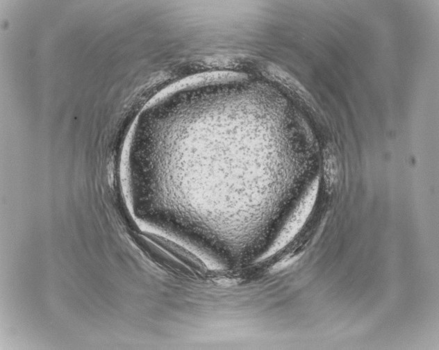 X0000070390593200607072221