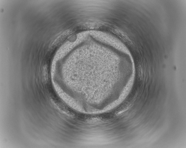 X0000070390594200607072221