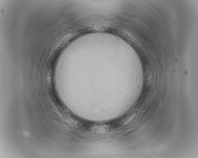 X0000070390595200607072221