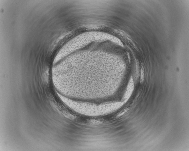 X0000070390596200607072221