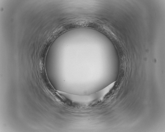 X0000070390597200607072221