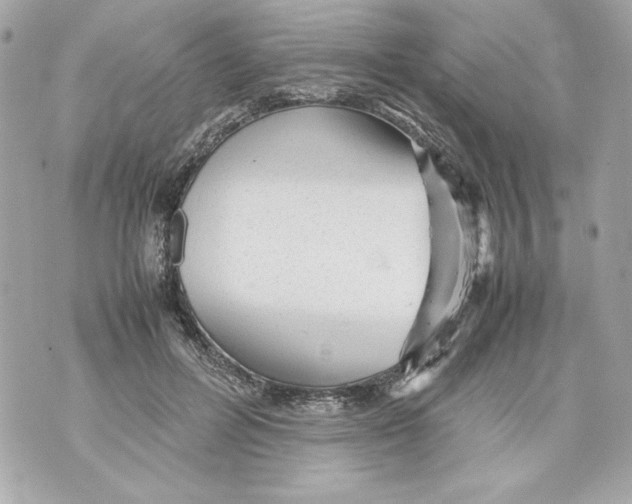 X0000070390600200607072221