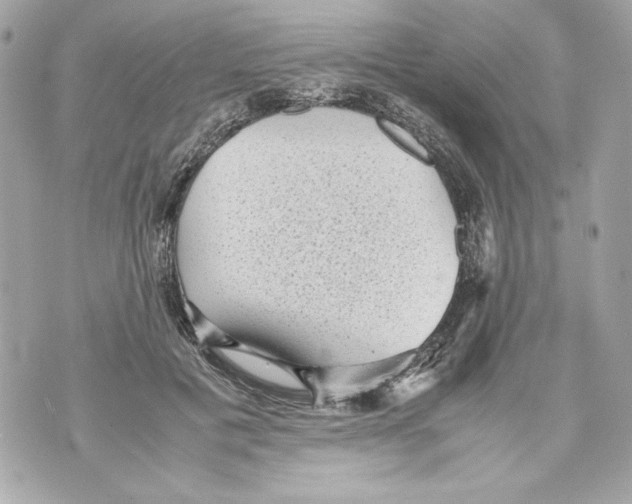 X0000070390601200607072221