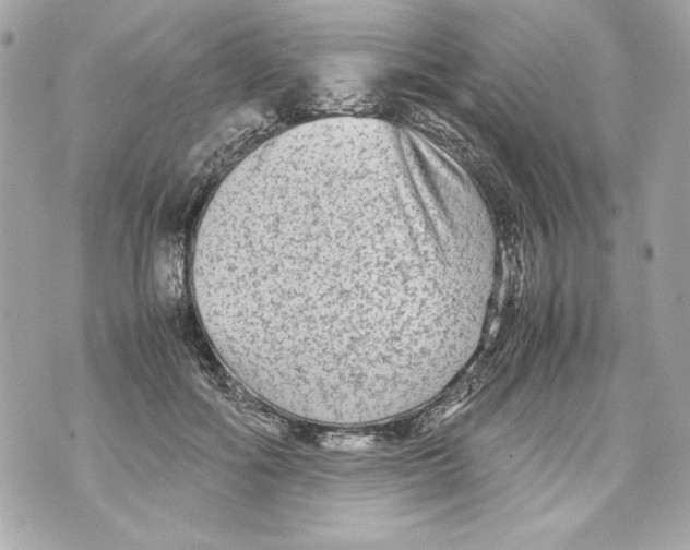 X0000070390602200607072221