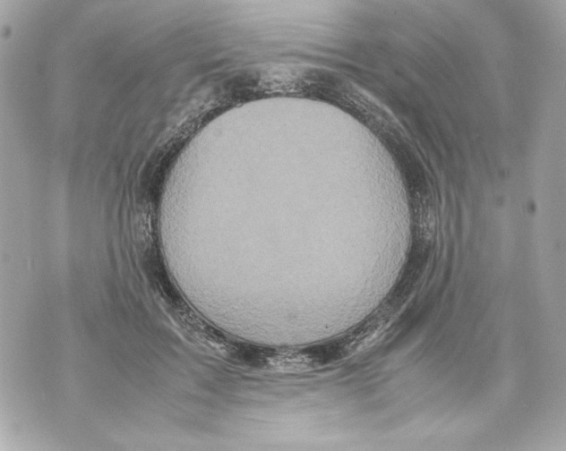 X0000070390603200607072221