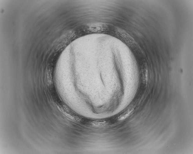 X0000070390606200607072221