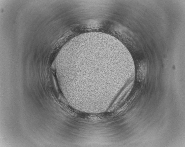 X0000070390608200607072221