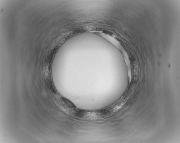 X0000070390611200607072221