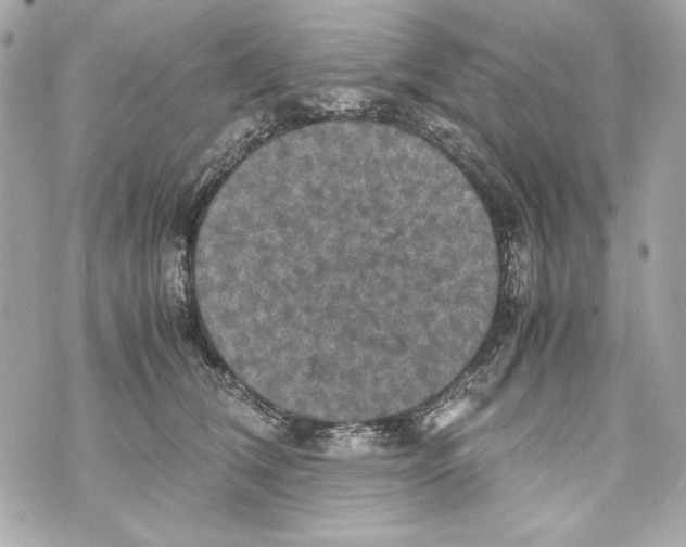 X0000070390612200607072221