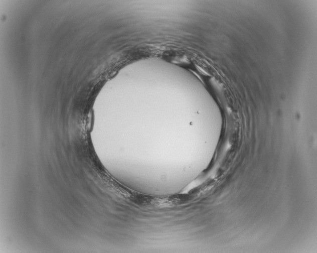 X0000070390613200607072221