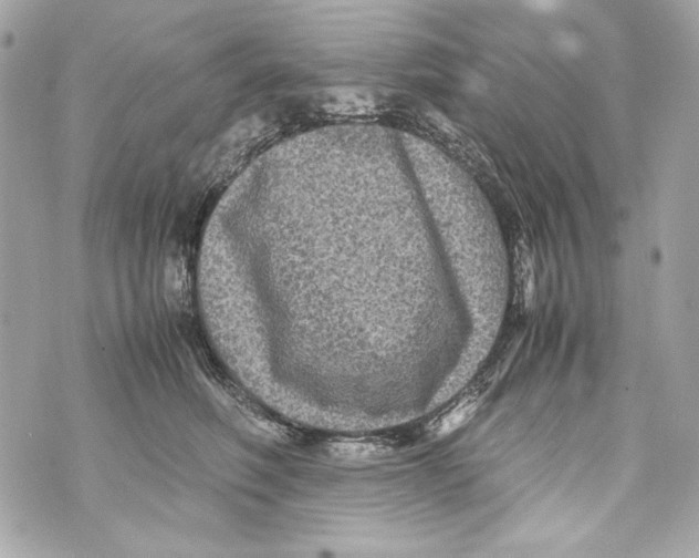 X0000070390614200607072221