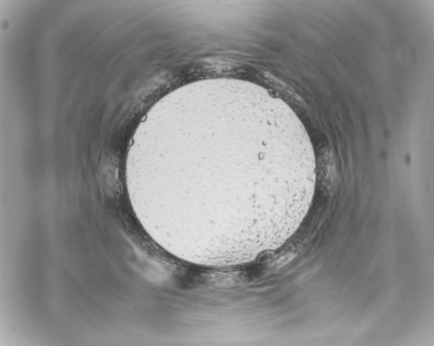 X0000070390615200607072221