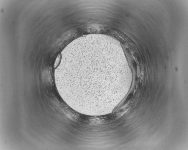 X0000070390616200607072221