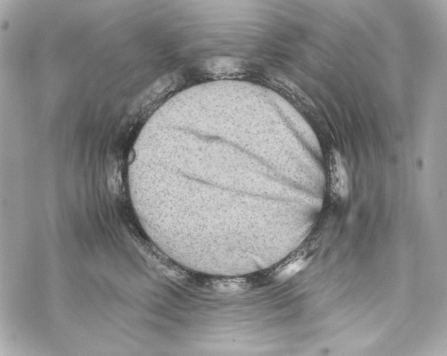 X0000070390618200607072221