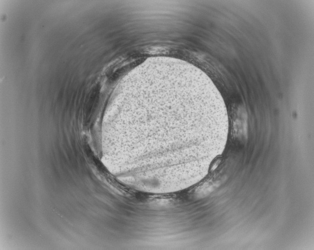 X0000070390620200607072221