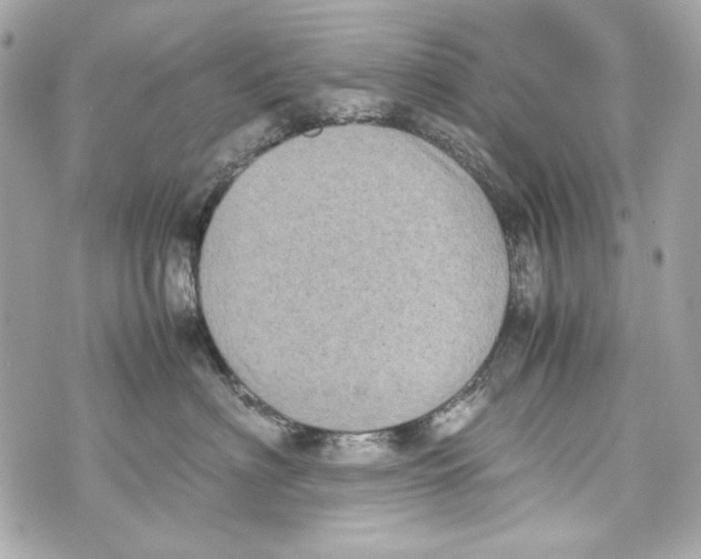 X0000070390622200607072221